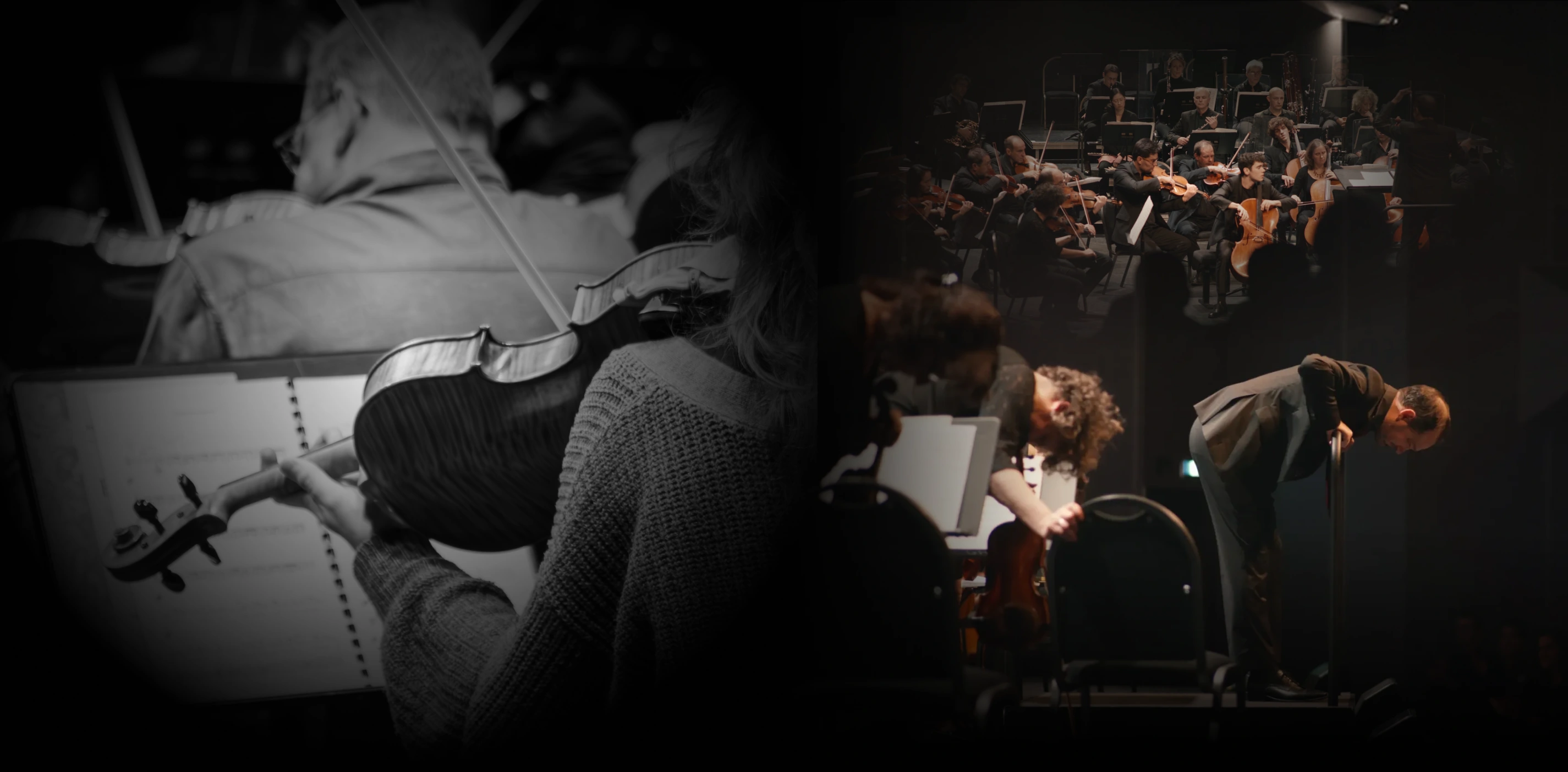 Violoniste lors d'un concert de l'orchestre Appassionato
